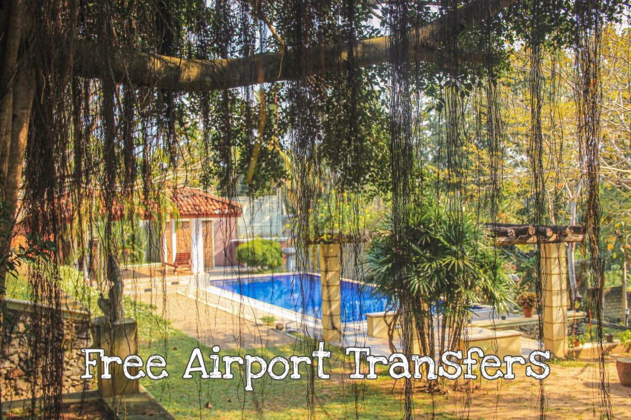 Airport Green Olive Villa Katunayaka Zewnętrze zdjęcie